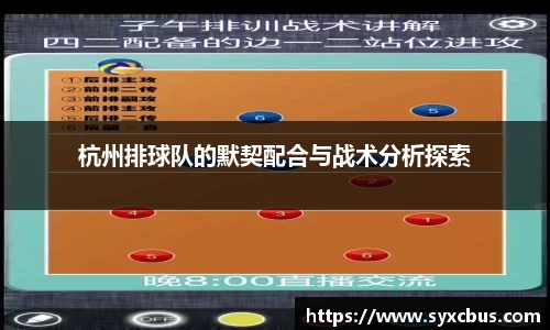 杭州排球队的默契配合与战术分析探索