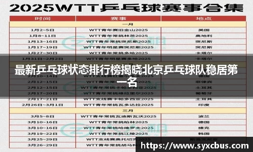 3377体育官网