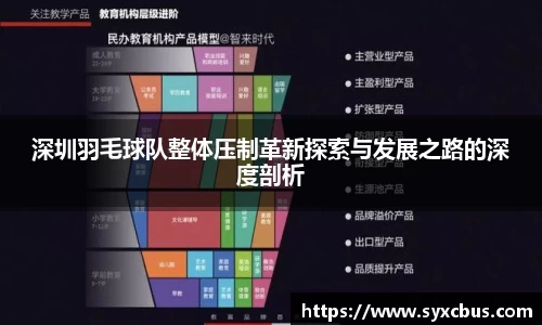 深圳羽毛球队整体压制革新探索与发展之路的深度剖析