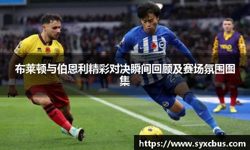 布莱顿与伯恩利精彩对决瞬间回顾及赛场氛围图集