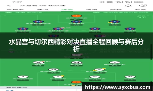 水晶宫与切尔西精彩对决直播全程回顾与赛后分析