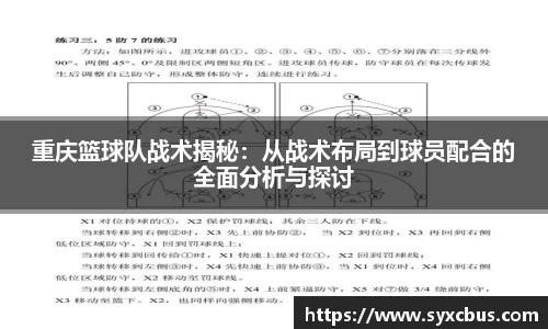 重庆篮球队战术揭秘：从战术布局到球员配合的全面分析与探讨