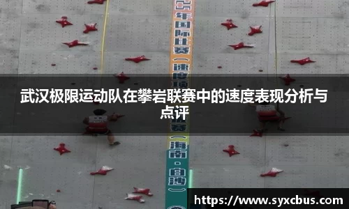 3377体育官网